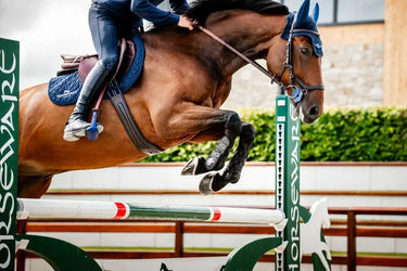 Horseware Ireland Classic Tendon Boots| Online For Equine