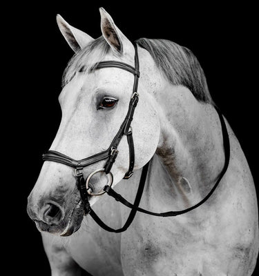 Horseware Ireland Dark Havana Horseware Ireland Micklem Deluxe Competition Bridle| Online For Equine