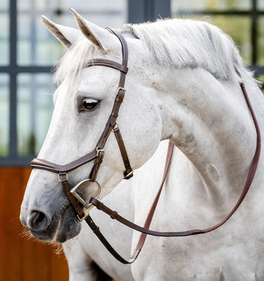 Horseware Ireland Dark Havana Horseware Ireland Micklem Deluxe Competition Bridle| Online For Equine