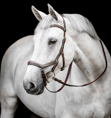 Horseware Ireland Dark Havana Horseware Ireland Micklem Deluxe Competition Bridle| Online For Equine