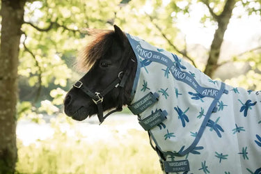 Horseware Ireland Dragonfly Print/Silver, Blue & Sage Amigo Bug Rug Plus Petite| Online For Equine