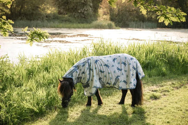 Horseware Ireland Dragonfly Print/Silver, Blue & Sage Amigo Bug Rug Plus Petite| Online For Equine