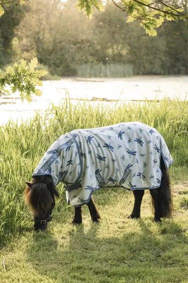 Horseware Ireland Dragonfly Print/Silver, Blue & Sage Amigo Bug Rug Plus Petite| Online For Equine