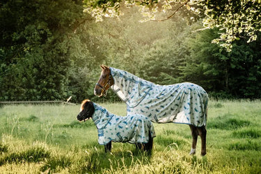 Horseware Ireland Dragonfly Print/Silver, Blue & Sage Amigo Bug Rug Plus Petite| Online For Equine