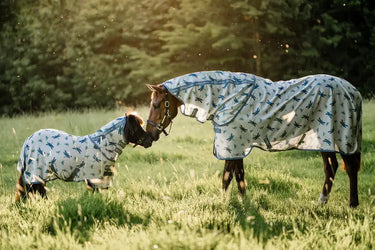 Horseware Ireland Dragonfly Print/Silver, Blue & Sage Amigo Bug Rug Plus Petite| Online For Equine