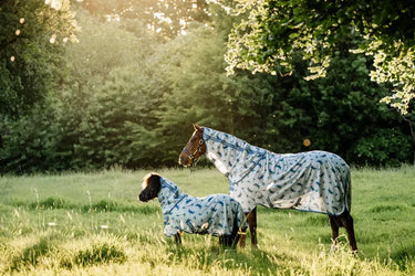 Horseware Ireland Dragonfly Print/Silver, Blue & Sage Amigo Bug Rug Plus Petite| Online For Equine