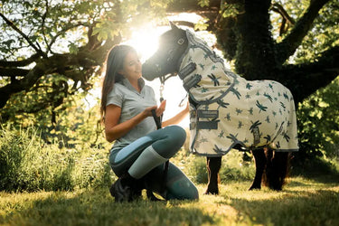 Horseware Ireland Dragonfly Print/Silver, Blue & Sage Amigo Bug Rug Plus Petite| Online For Equine