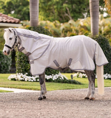 Horseware Ireland Dragonfly Print/Silver, Blue & Sage Amigo Bug Rug Plus Pony| Online For Equine