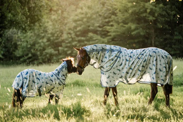 Horseware Ireland Dragonfly Print/Silver, Blue & Sage Amigo Bug Rug Plus| Online For Equine