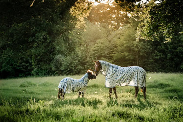 Horseware Ireland Dragonfly Print/Silver, Blue & Sage Amigo Bug Rug Plus| Online For Equine