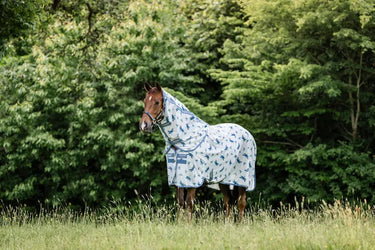 Horseware Ireland Dragonfly Print/Silver, Blue & Sage Amigo Bug Rug Plus| Online For Equine