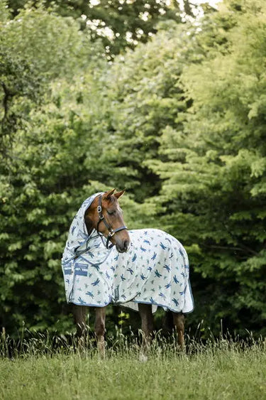 Horseware Ireland Dragonfly Print/Silver, Blue & Sage Amigo Bug Rug Plus| Online For Equine