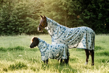 Horseware Ireland Dragonfly Print/Silver, Blue & Sage Amigo Bug Rug Plus| Online For Equine