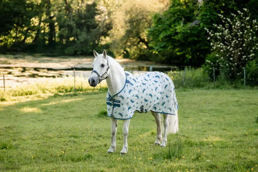 Horseware Ireland Dragonfly Print/Silver, Blue & Sage Amigo Bug Rug Pony| Online For Equine