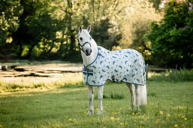 Horseware Ireland Dragonfly Print/Silver, Blue & Sage Amigo Bug Rug Pony| Online For Equine