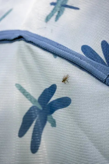 Horseware Ireland Dragonfly Print/Silver, Blue & Sage Amigo Bug Rug Pony| Online For Equine