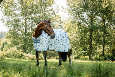 Horseware Ireland Dragonfly Print/Silver, Blue & Sage Amigo Bug Rug XL Plus| Online For Equine
