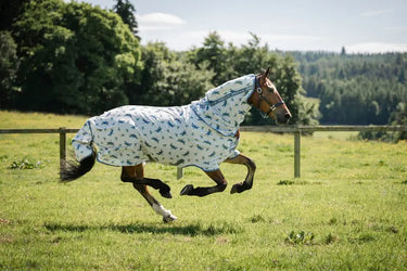 Horseware Ireland Dragonfly Print/Silver, Blue & Sage Amigo Bug Rug XL Plus| Online For Equine