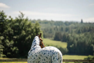 Horseware Ireland Dragonfly Print/Silver, Blue & Sage Amigo Bug Rug XL Plus| Online For Equine