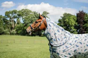 Horseware Ireland Dragonfly Print/Silver, Blue & Sage Amigo Bug Rug XL Plus| Online For Equine