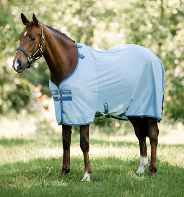 Horseware Ireland Dragonfly Print/Silver, Blue & Sage Amigo Bug Rug| Online For Equine