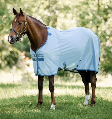 Horseware Ireland Dragonfly Print/Silver, Blue & Sage Amigo Bug Rug| Online For Equine