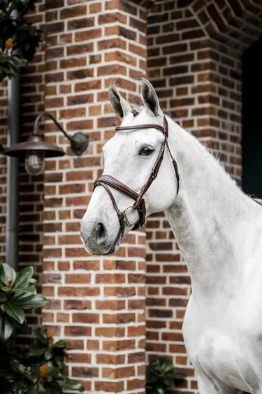 Horseware Ireland Dressage Flash Bridle| Online For Equine