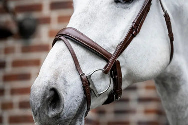 Horseware Ireland Dressage Flash Bridle| Online For Equine