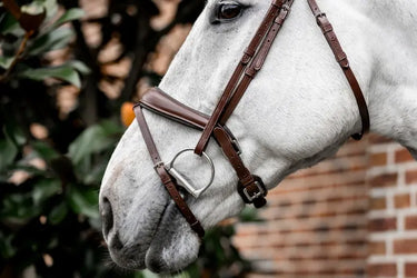 Horseware Ireland Dressage Flash Bridle| Online For Equine