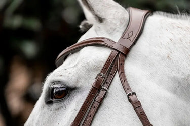 Horseware Ireland Dressage Flash Bridle| Online For Equine