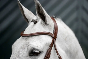 Horseware Ireland Dressage Flash Bridle| Online For Equine
