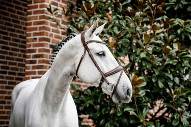 Horseware Ireland Dressage Flash Bridle| Online For Equine