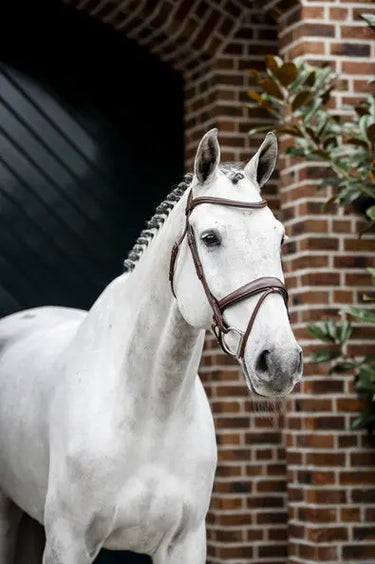 Horseware Ireland Dressage Flash Bridle| Online For Equine