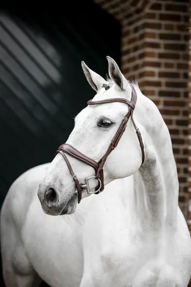 Horseware Ireland Dressage Flash Bridle| Online For Equine