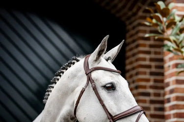 Horseware Ireland Dressage Flash Bridle| Online For Equine