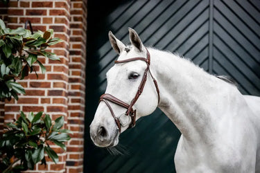 Horseware Ireland Dressage Flash Bridle| Online For Equine