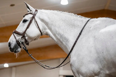 Horseware Ireland Dressage Flash Bridle| Online For Equine