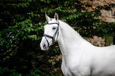 Horseware Ireland Dressage Flash Bridle| Online For Equine