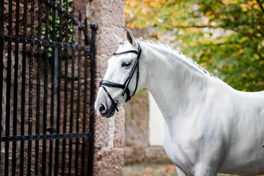 Horseware Ireland Dressage Flash Bridle| Online For Equine