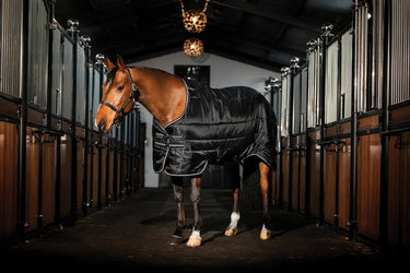 Horseware Ireland Easy-Layer Stable Rug 100G| Online For Equine
