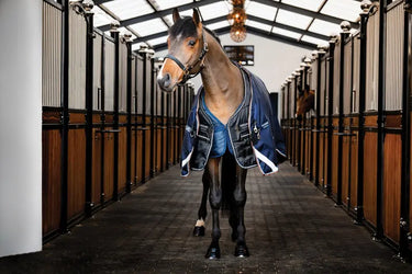 Horseware Ireland Easy-Layer Stable Rug 100G| Online For Equine