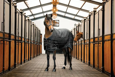 Horseware Ireland Easy-Layer Stable Rug 100G| Online For Equine