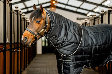 Horseware Ireland Easy-Layer Stable Rug Plus 400G| Online For Equine