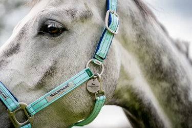 Buy Horseware Ireland Field Safe Headcollar| Online for Equine