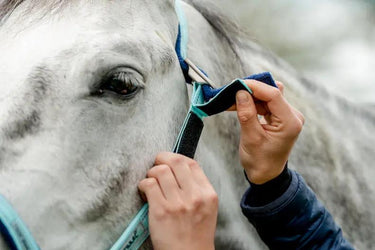 Buy Horseware Ireland Field Safe Headcollar| Online for Equine