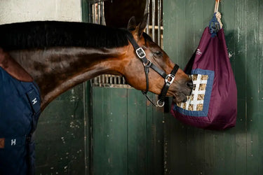 Horseware Ireland Fig/Navy & Silver Horseware Ireland Revive Haybag| Online For Equine