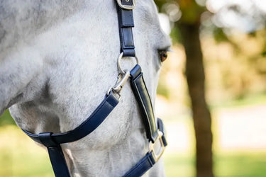 Horseware Ireland Grooming Headcollar| Online For Equine
