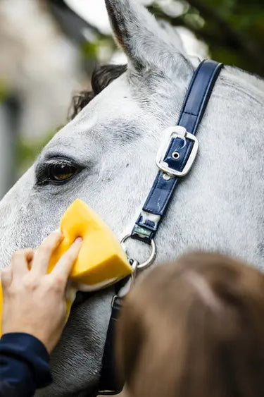 Horseware Ireland Grooming Headcollar| Online For Equine