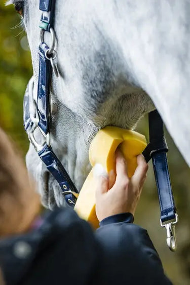 Horseware Ireland Grooming Headcollar| Online For Equine