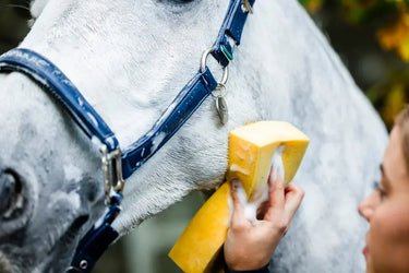 Horseware Ireland Grooming Headcollar| Online For Equine